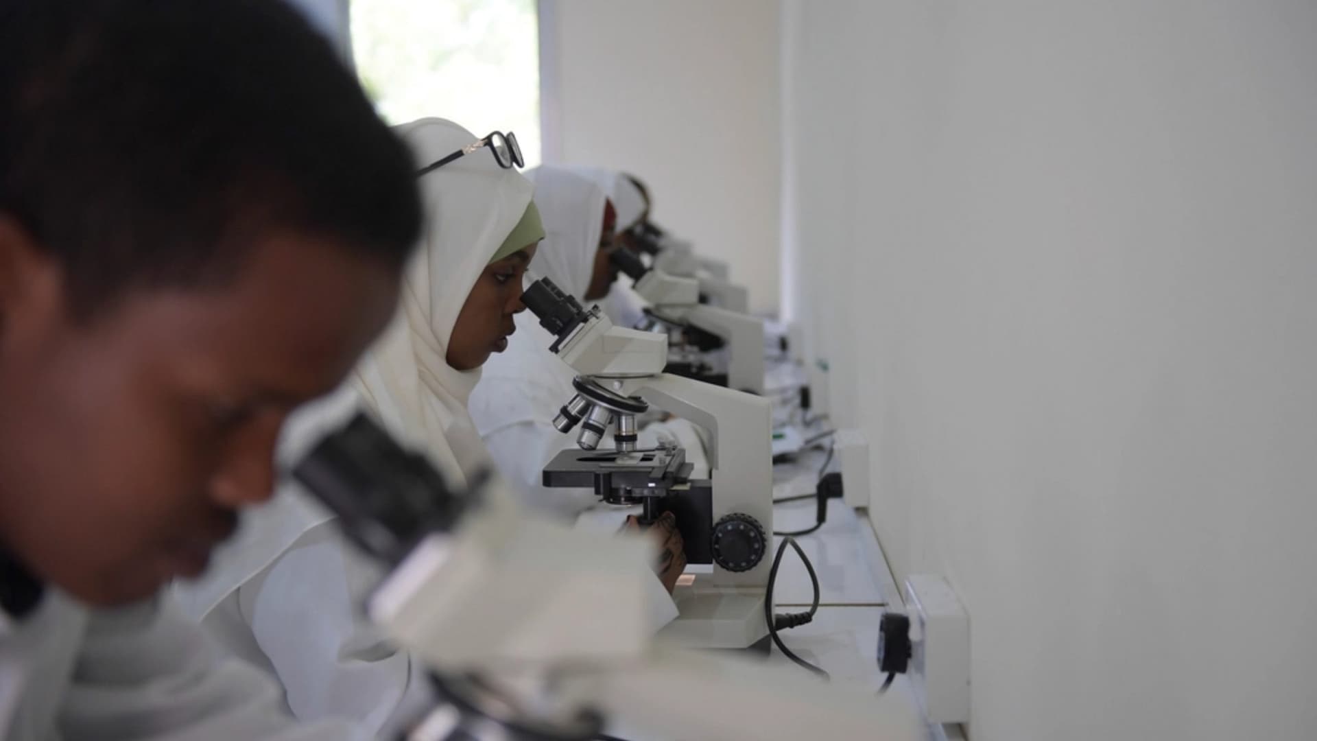 Medical students working at microscopes in a university laboratory