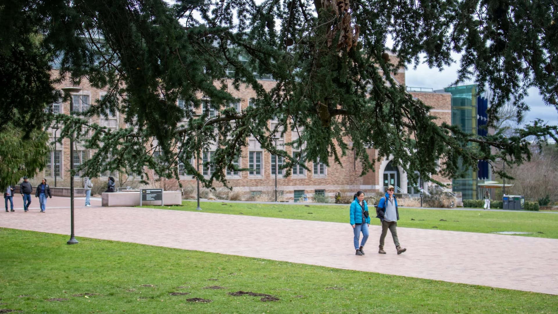 Students on a university campus